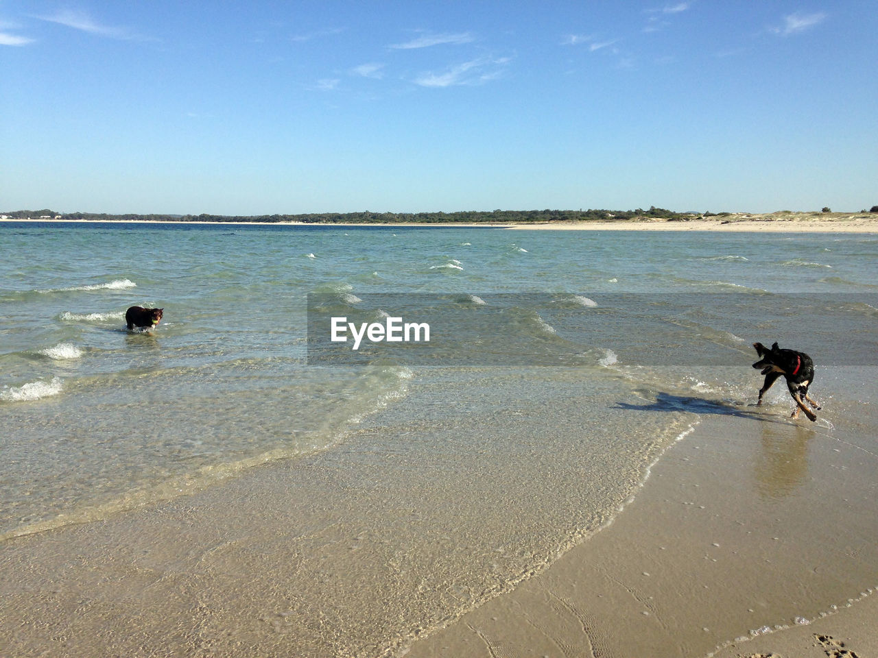 VIEW OF BEACH