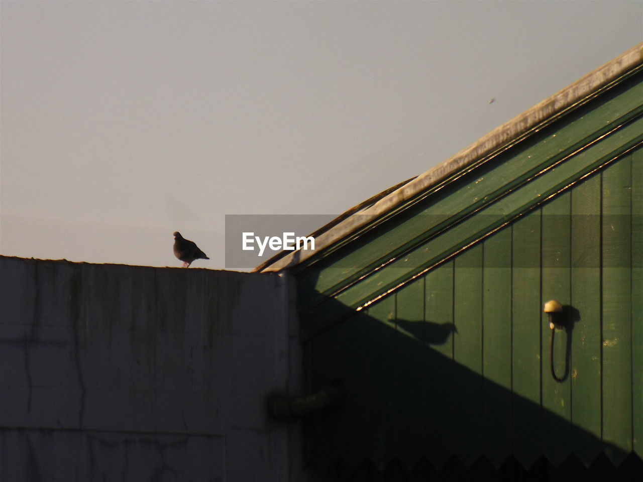 LOW ANGLE VIEW OF SILHOUETTE BIRDS PERCHING ON ROOF AGAINST CLEAR SKY