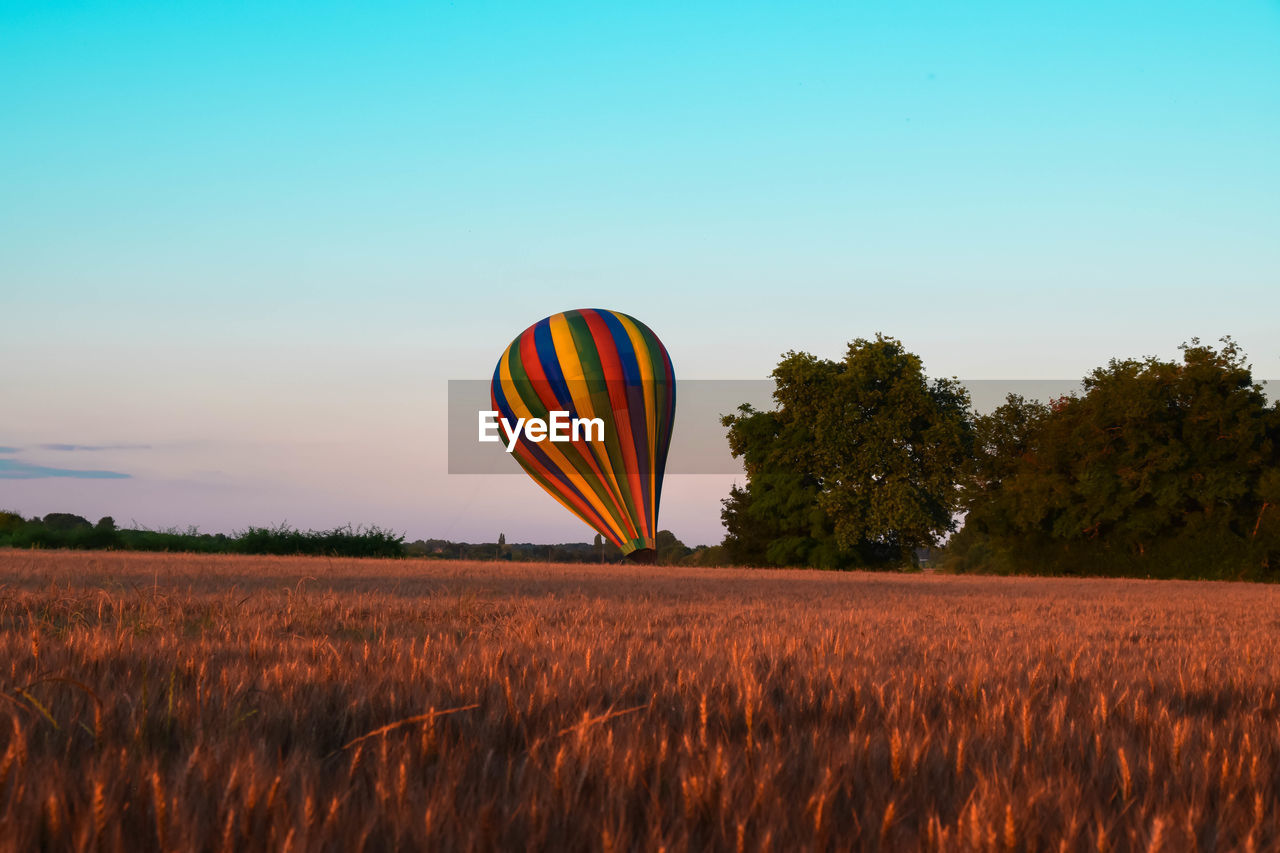 Hot air balloons landing on field against sky