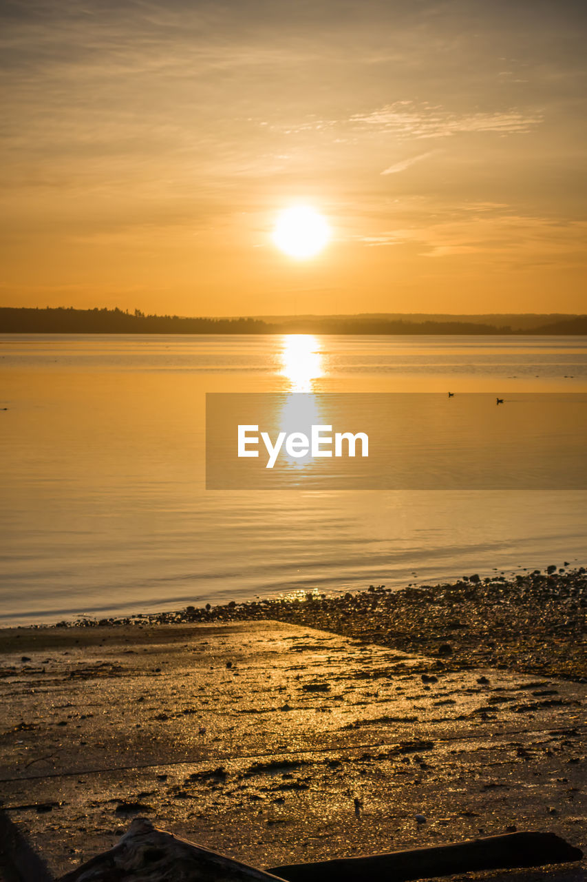 Scenic view of sea during sunset