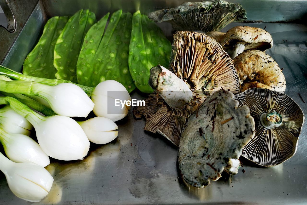 HIGH ANGLE VIEW OF EGGS IN CONTAINER