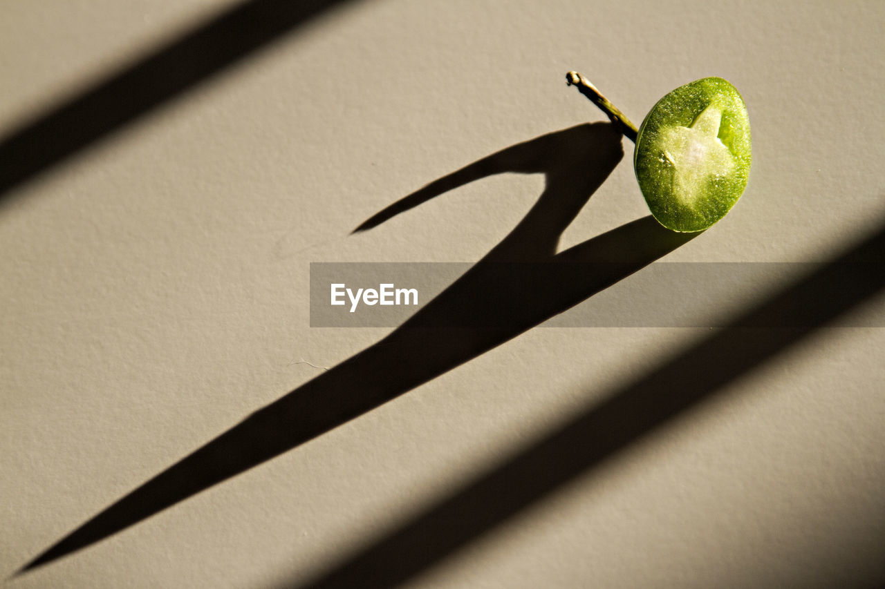 HIGH ANGLE VIEW OF FRUIT ON GREEN LEAF