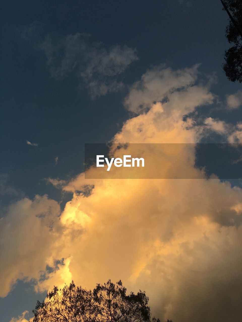LOW ANGLE VIEW OF SILHOUETTE TREES AGAINST SKY