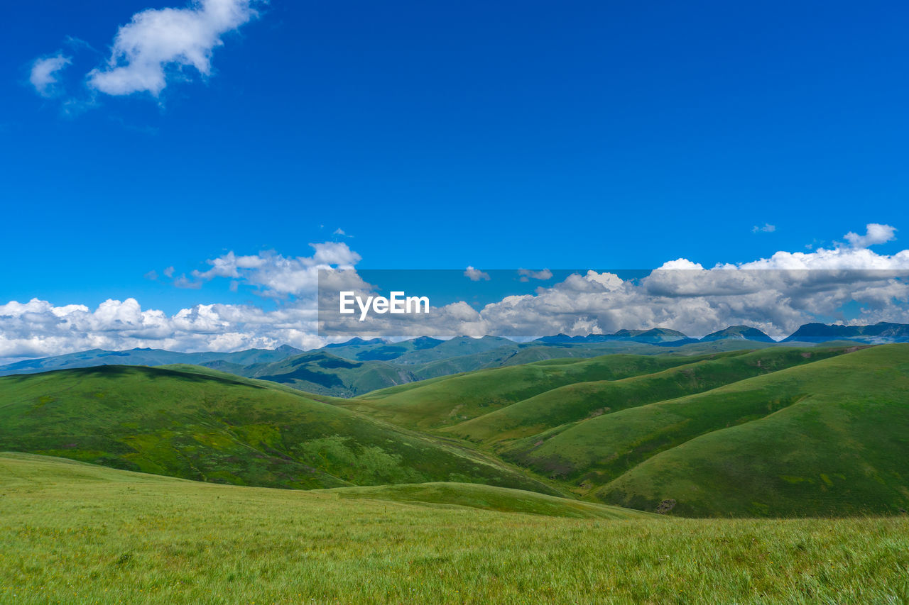 SCENIC VIEW OF GREEN LANDSCAPE AGAINST SKY