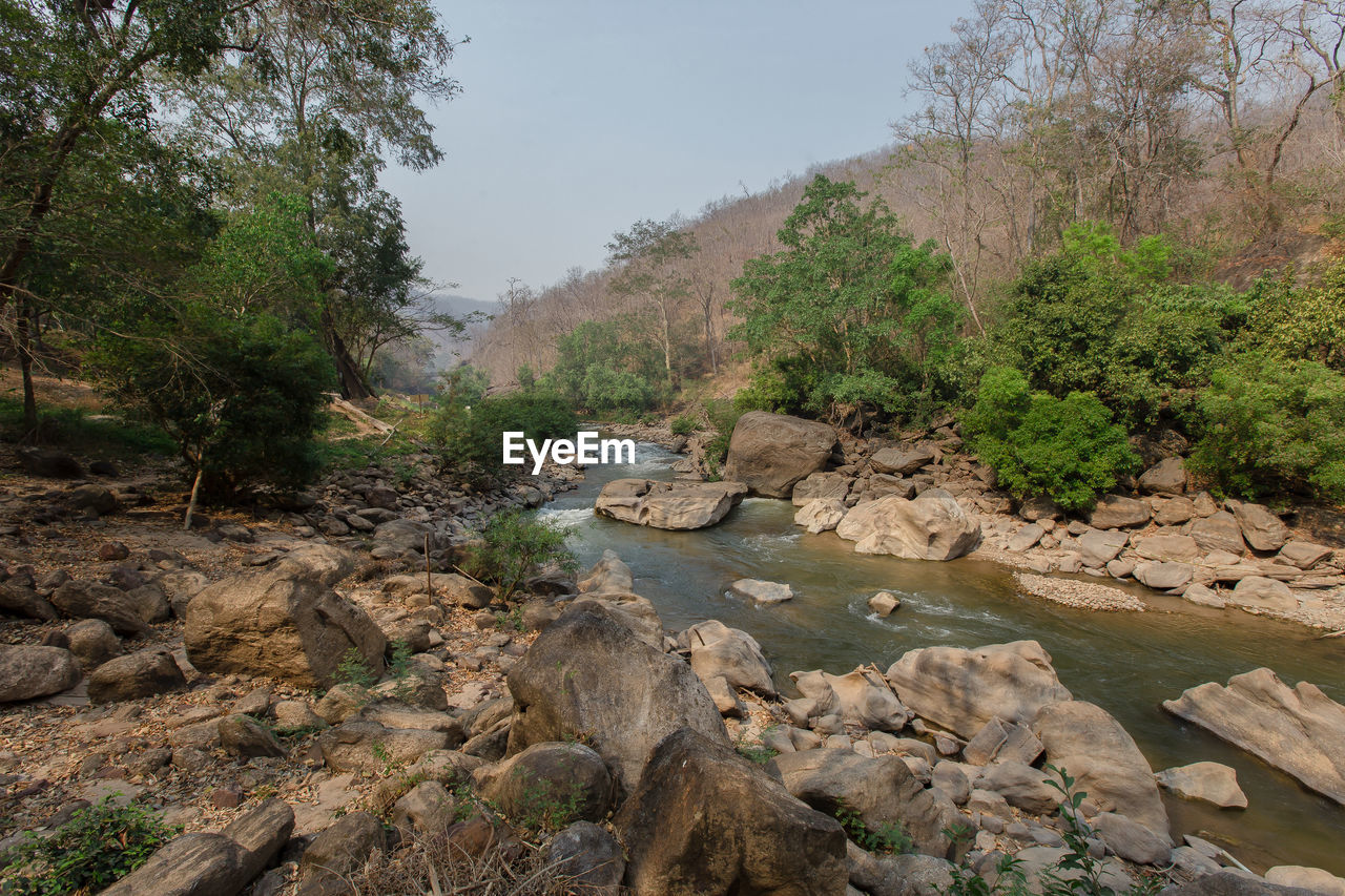 Stream flowing through rocks in forest against sky