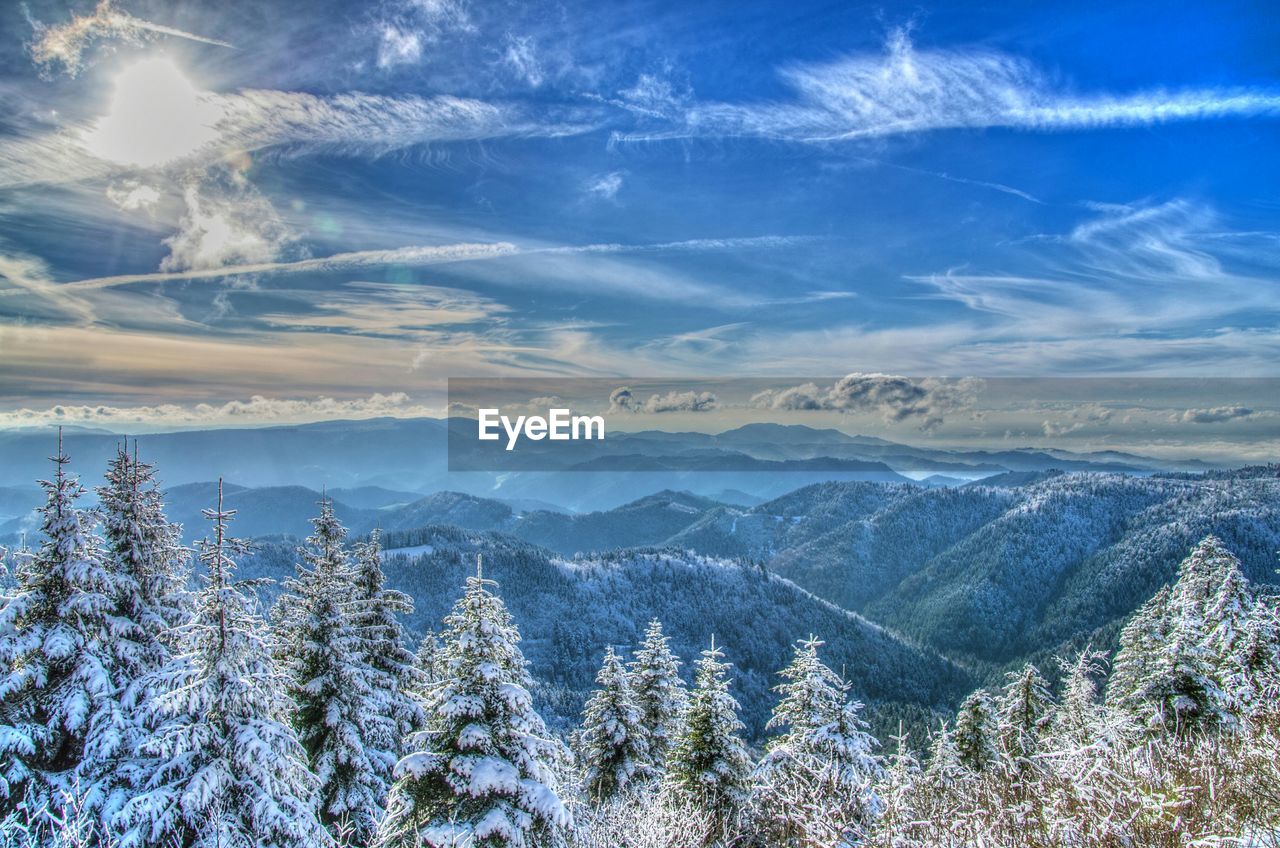 High angle view of forest and mountain range