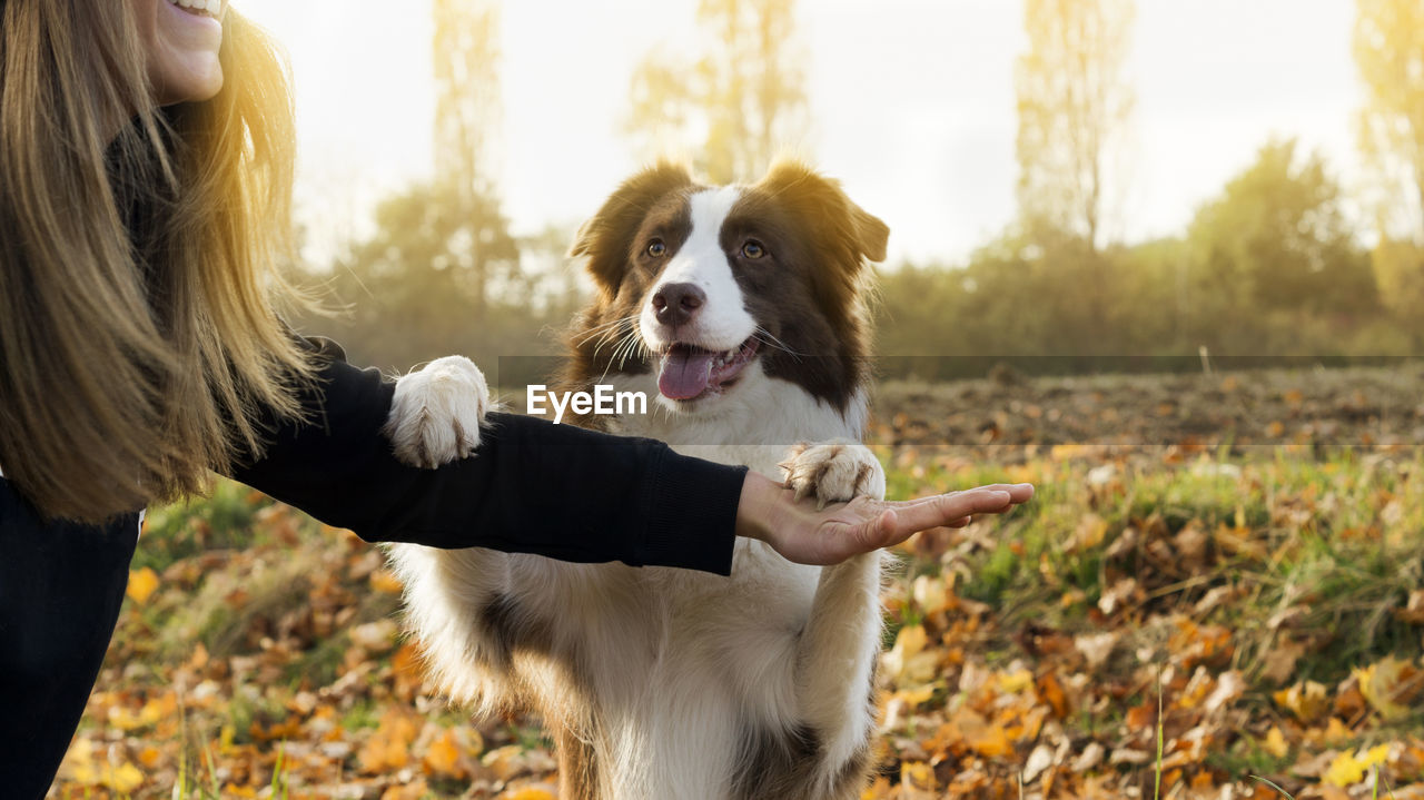 Woman with dog in forest