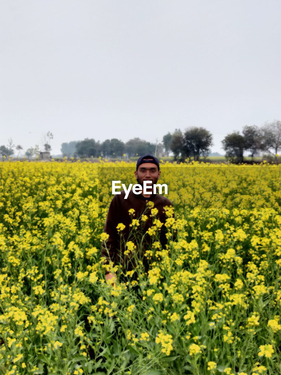 Mustard field, scenery, greenery, happiness, refreshing, down to earth.