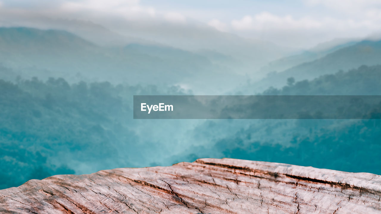 Wood countertop with forest and mountain in spring background