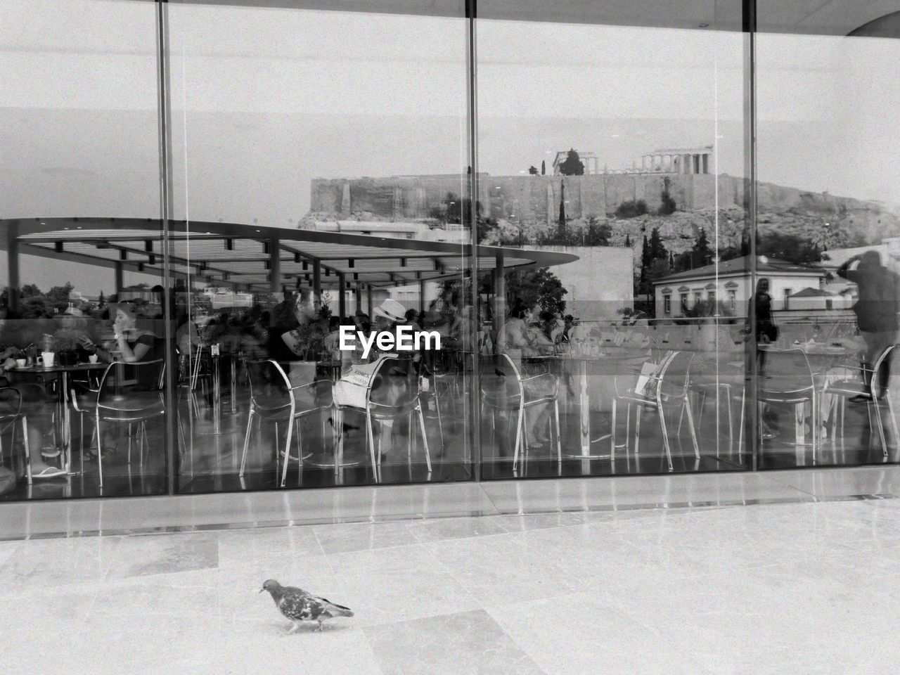 GROUP OF PEOPLE IN GLASS WINDOWS