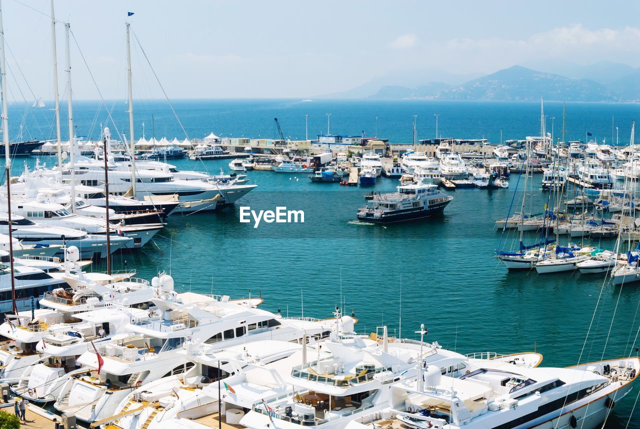 Sailboats moored in harbor