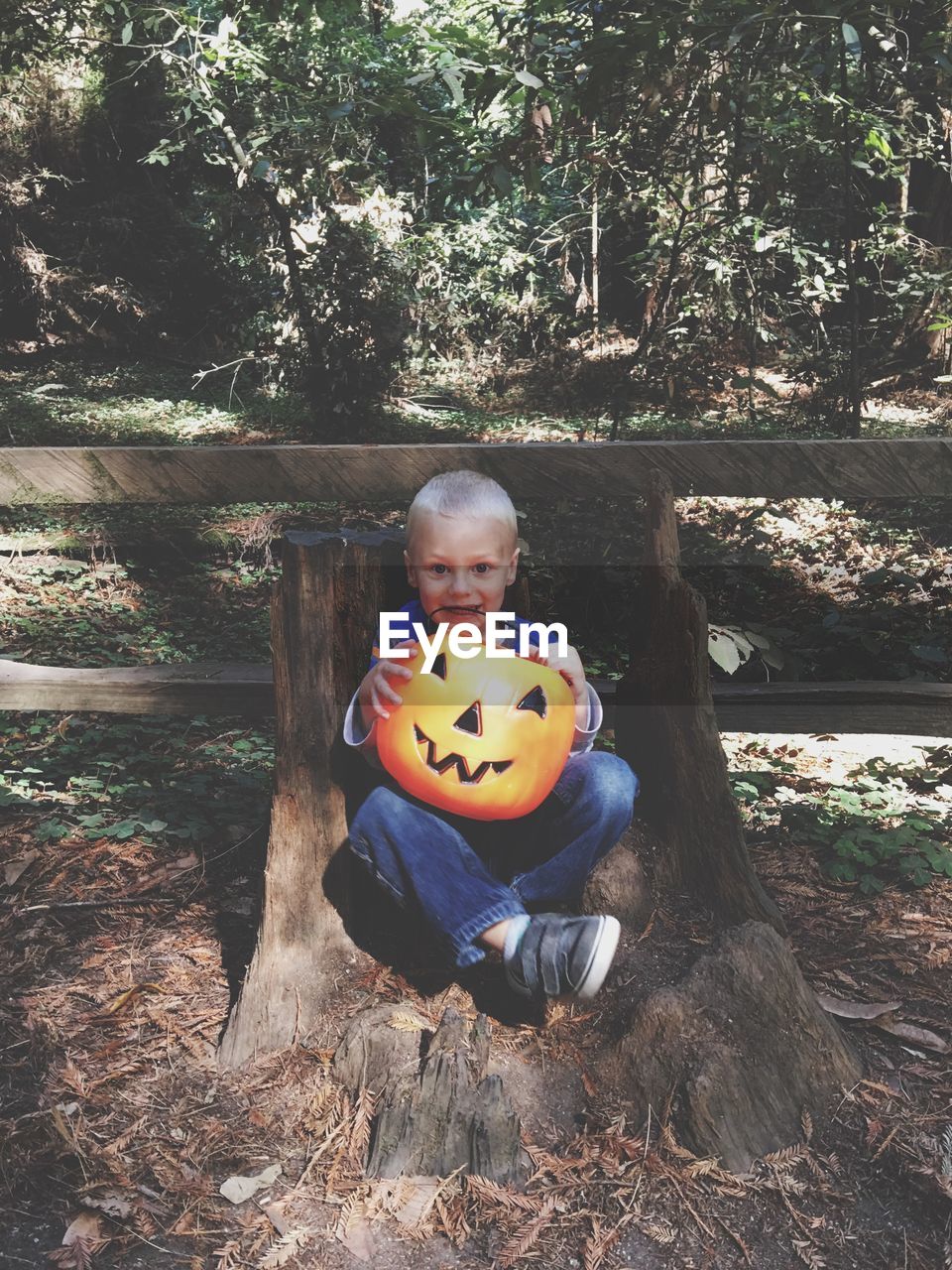 Portrait of cute boy with artificial pumpkin sitting on tree stump