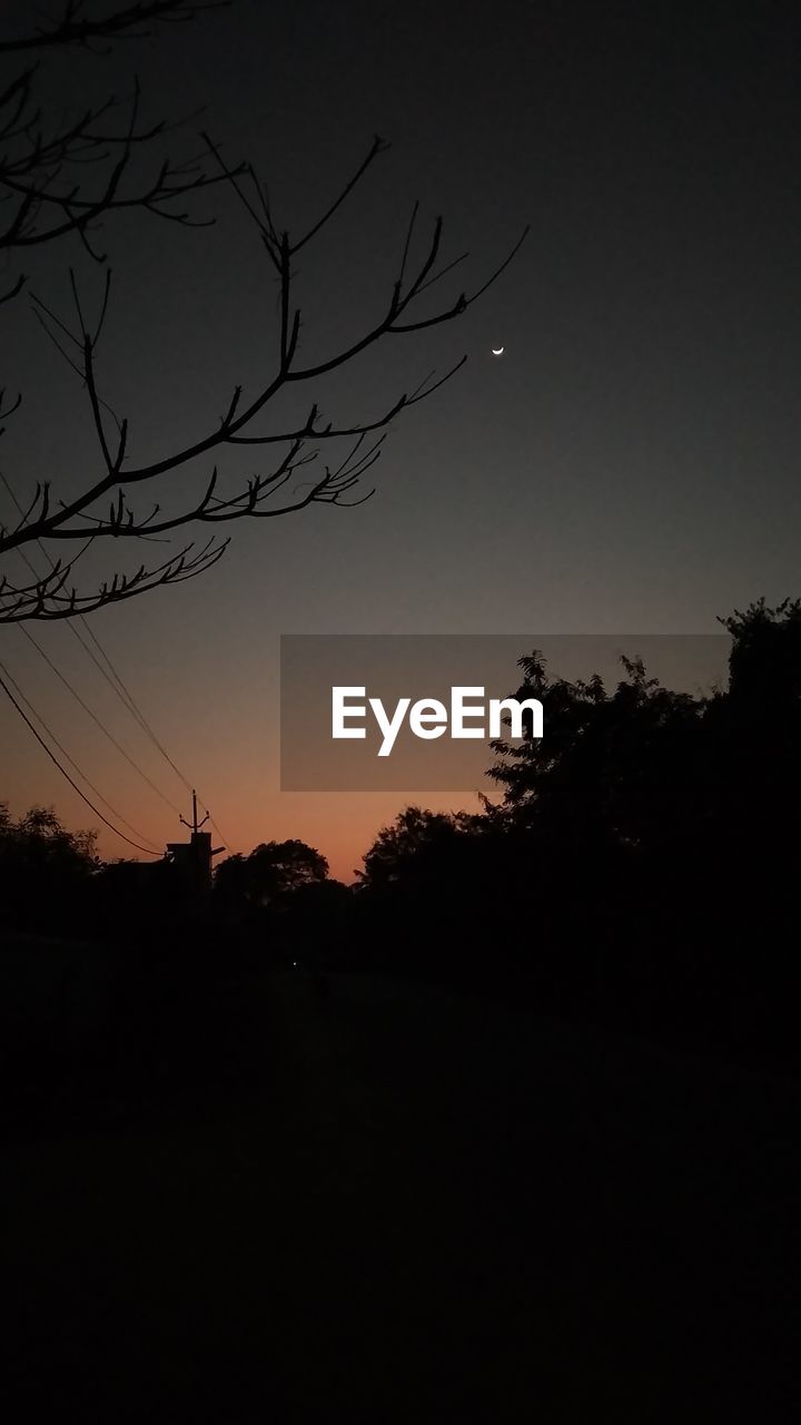 SILHOUETTE OF TREES AGAINST CLEAR SKY