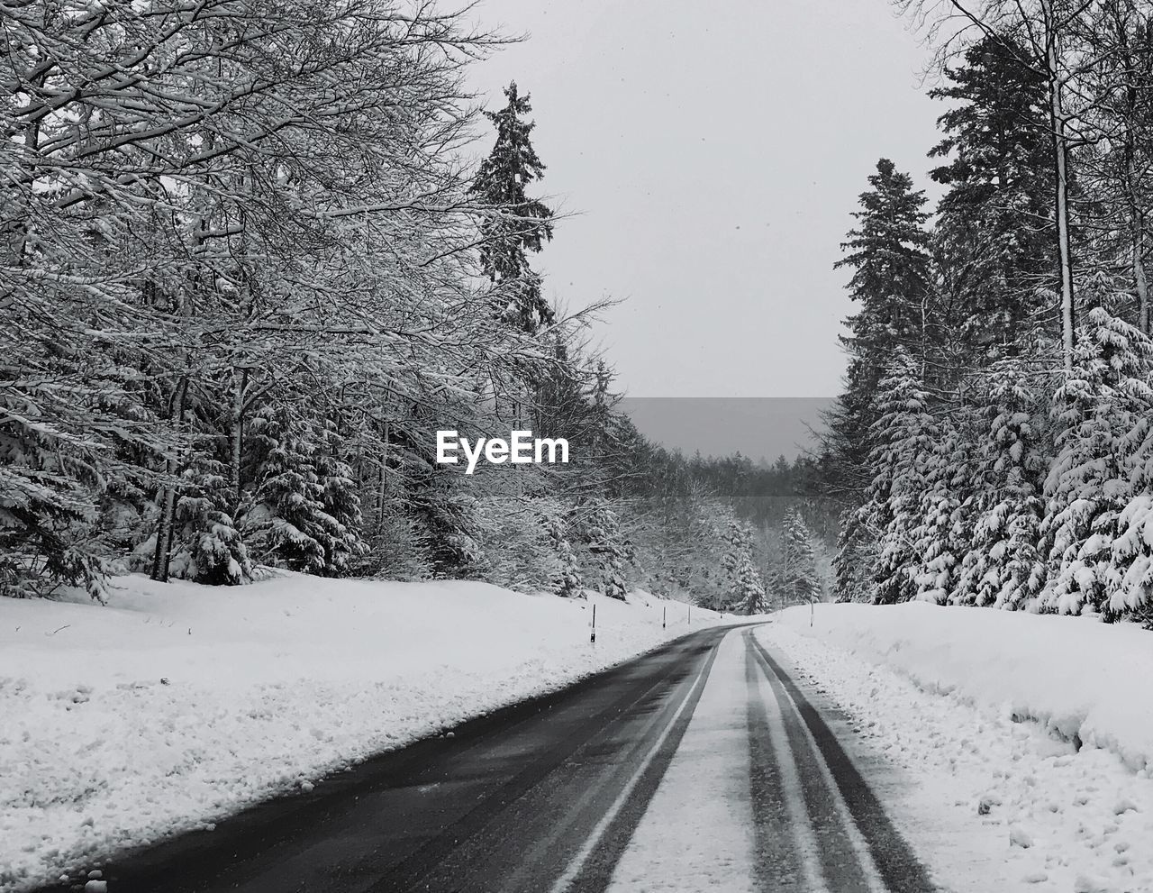 Snow covered road amidst trees against sky