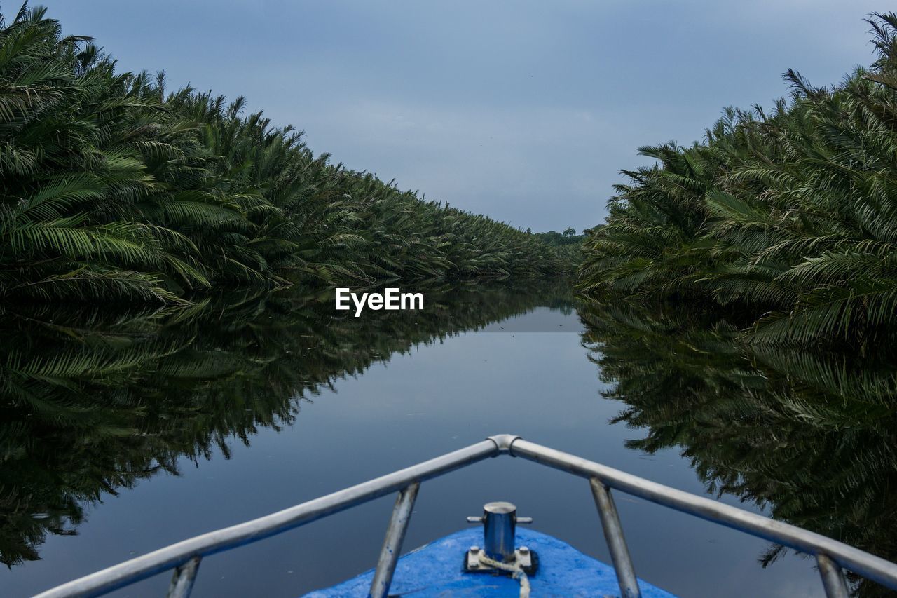 TREES BY LAKE AGAINST SKY