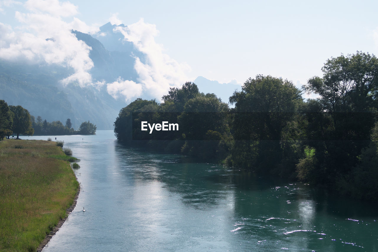 SCENIC VIEW OF RIVER FLOWING AMIDST TREES AGAINST SKY