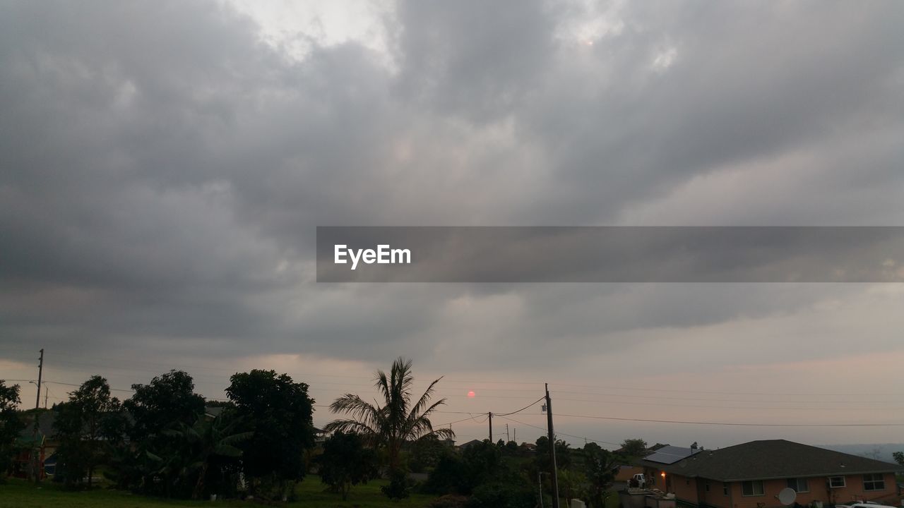 LOW ANGLE VIEW OF STORM CLOUDS OVER SILHOUETTE TREES