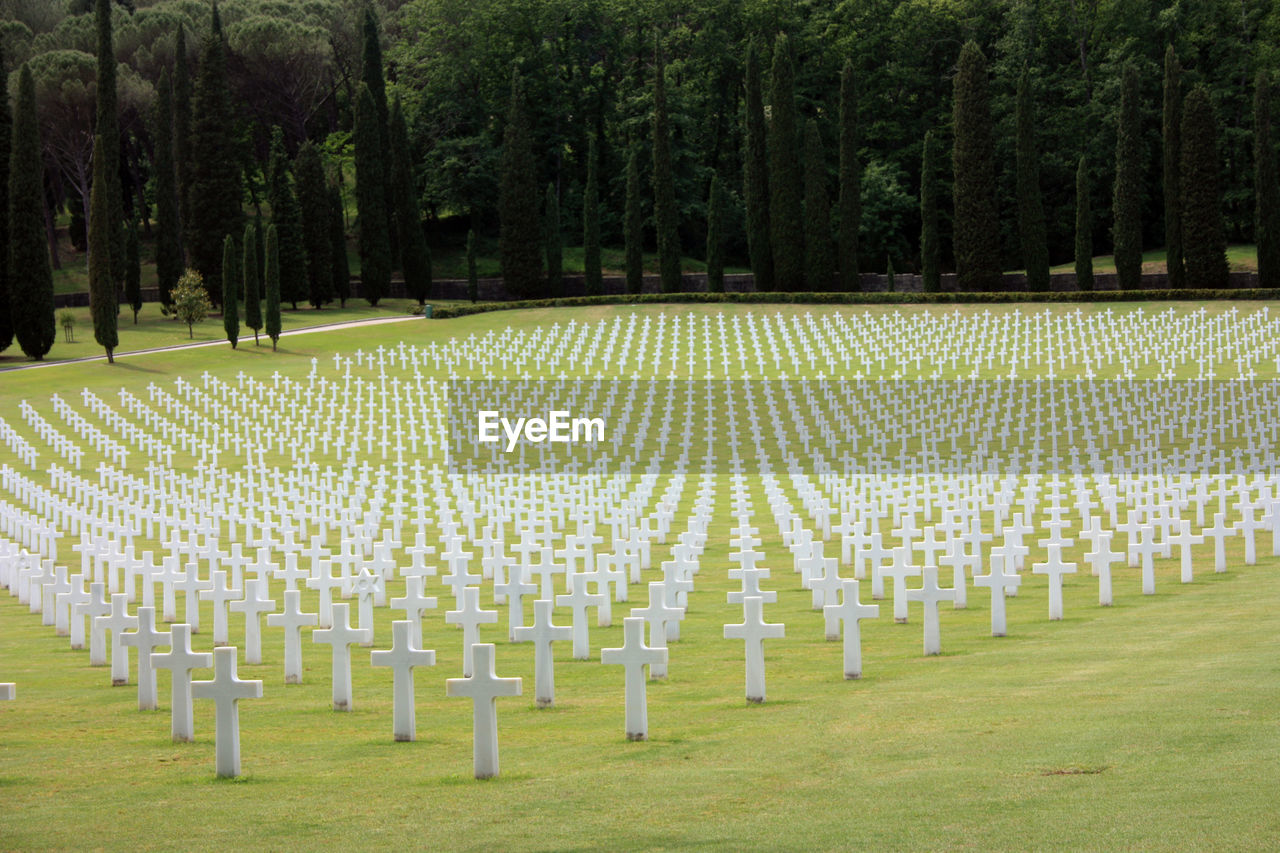 Usa military cemetery of second world war with crosses of dead soldiers resting in florence