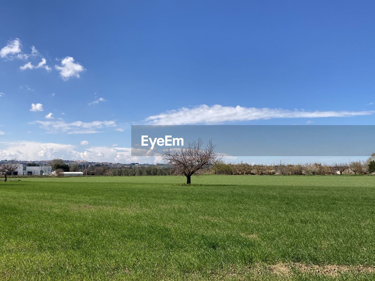 SCENIC VIEW OF LAND AGAINST SKY