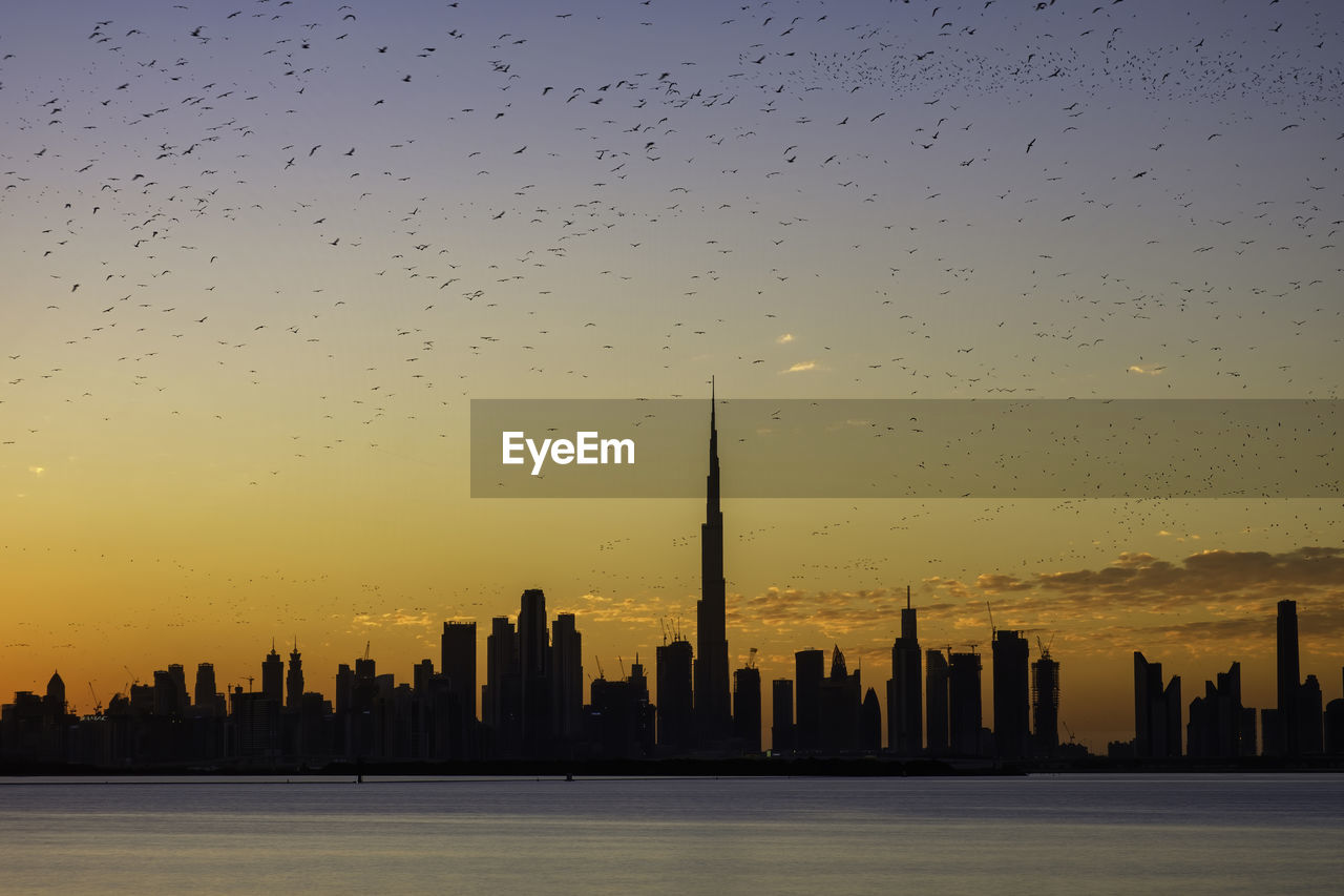 View of dubai skyline at sunset with birds flying around - a composite image