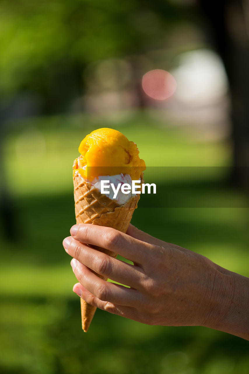 Close-up of hand holding ice cream