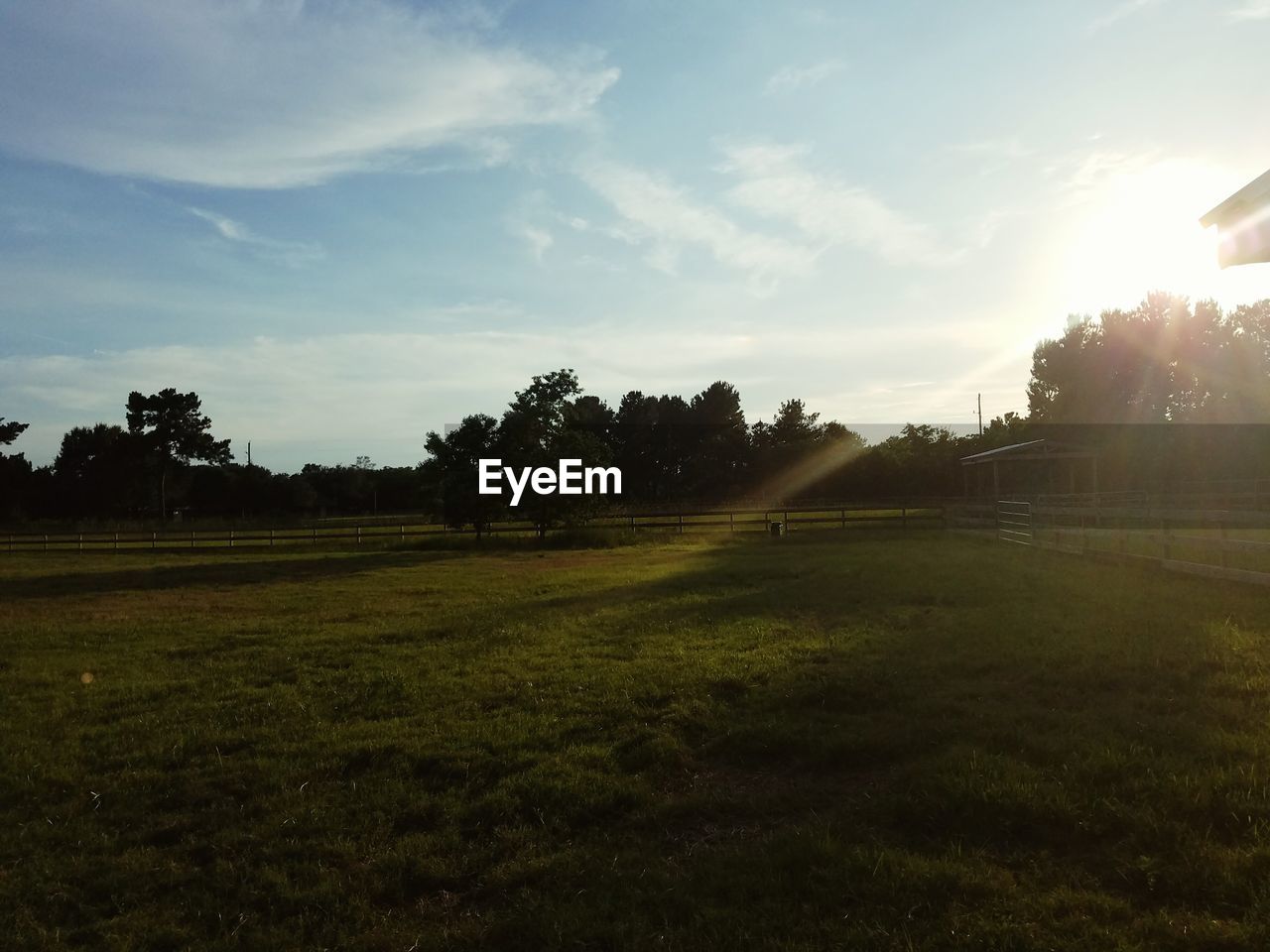 SCENIC VIEW OF GRASSY FIELD DURING SUNSET