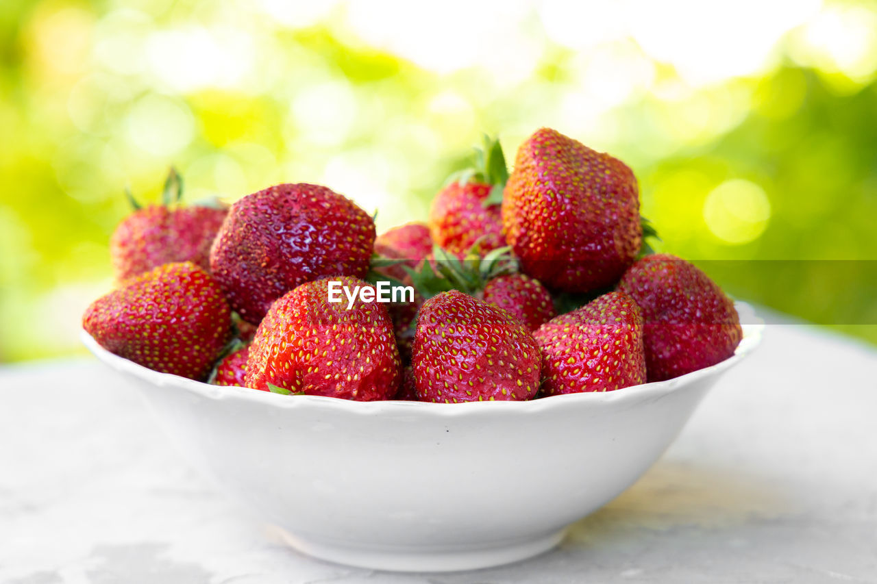 Strawberry in white plate on green background