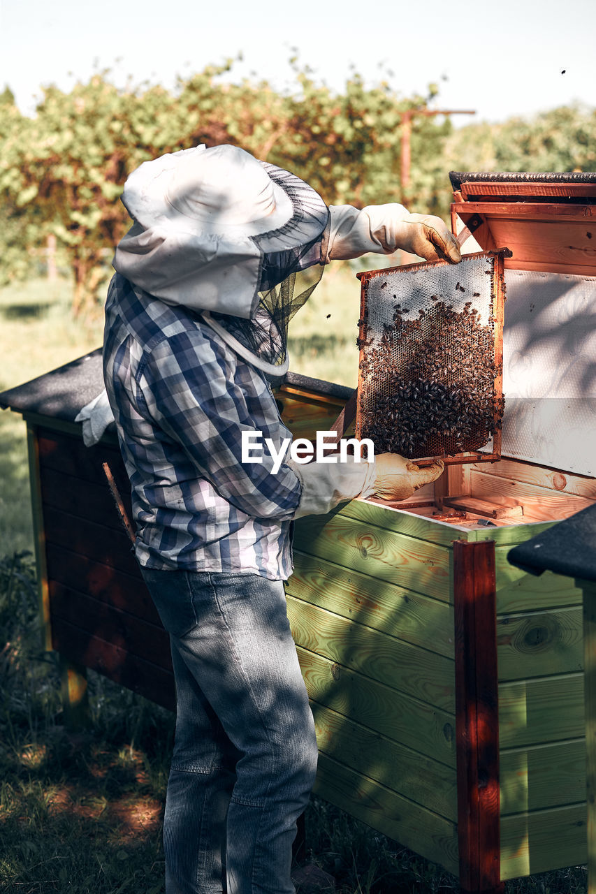 Bee keeper working while standing in park