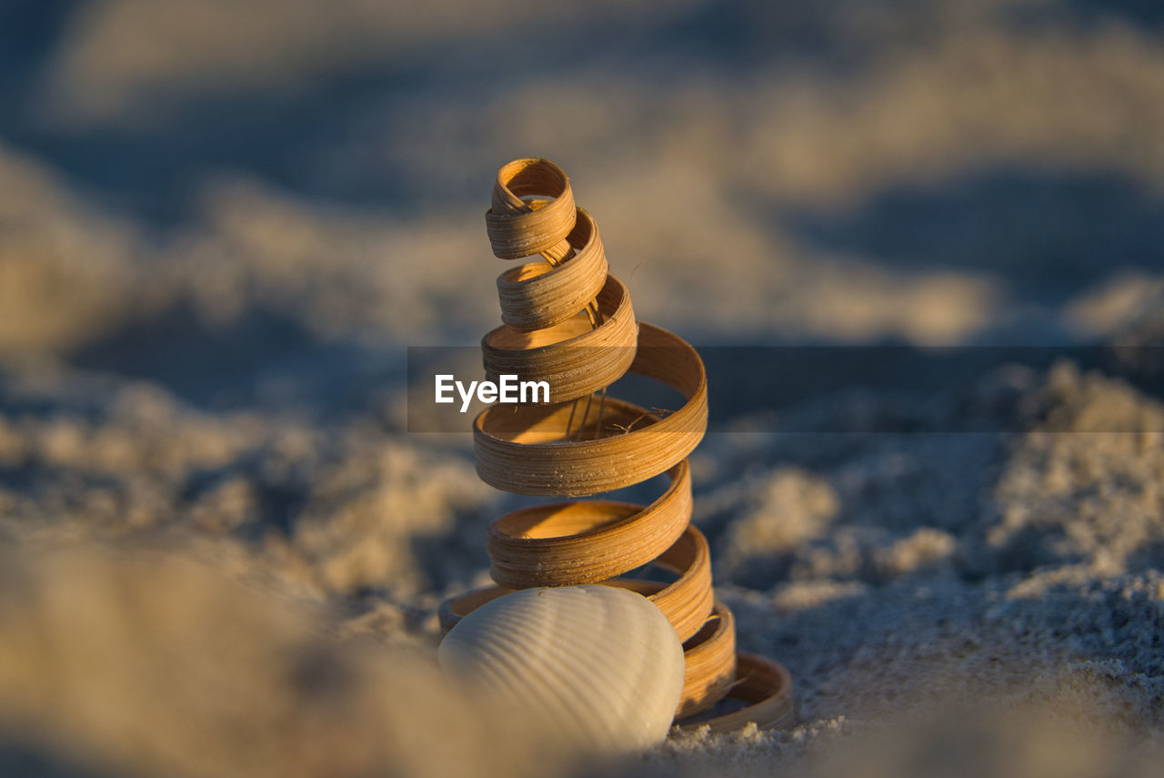 Close-up of a shell and decorative spiral made of wood on the beach on sanibel island