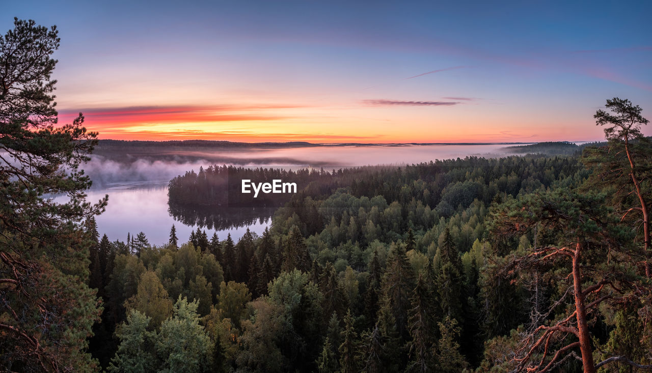 SCENIC VIEW OF TREES AGAINST SKY DURING SUNSET