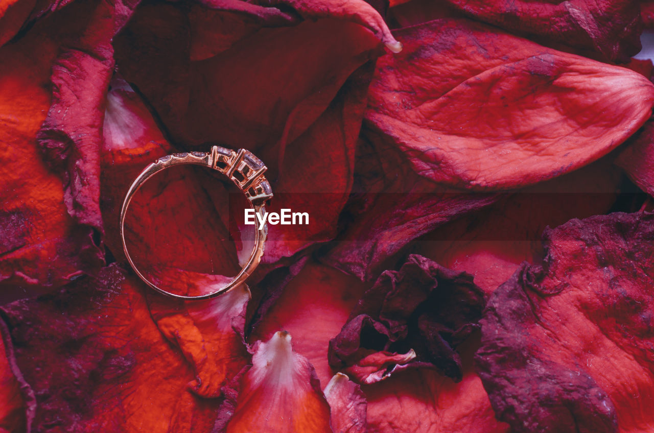 Close-up of wedding ring on red petals
