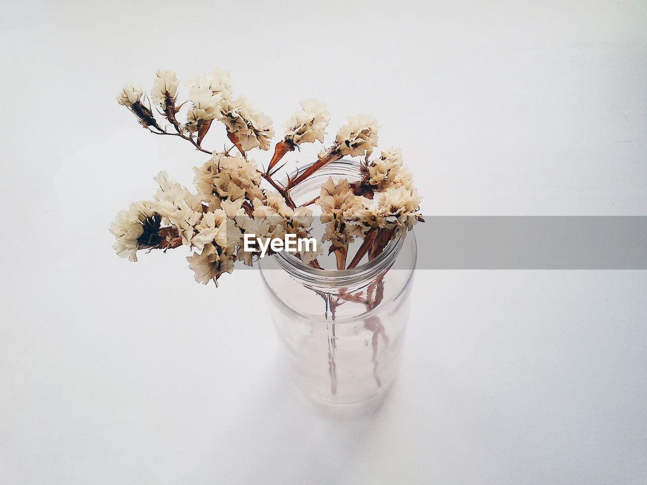 High angle view of flowers in jar over white background