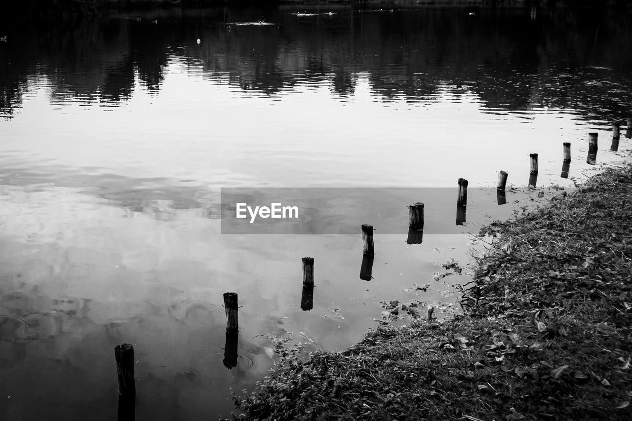 REFLECTION OF WOODEN POST IN LAKE