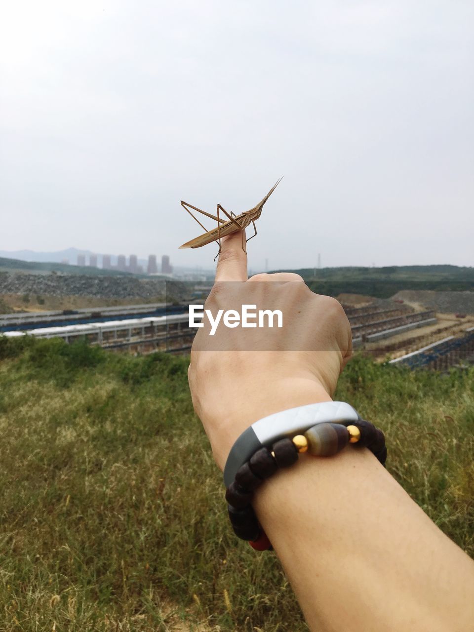 CLOSE-UP OF MAN HAND ON FIELD