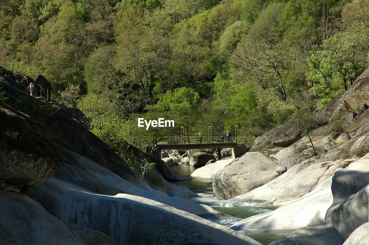 SCENIC VIEW OF RIVER FLOWING THROUGH ROCKS IN FOREST