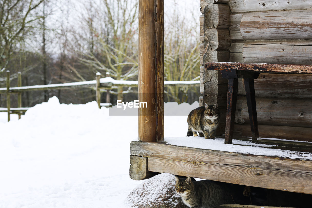 rear view of man sitting on snow