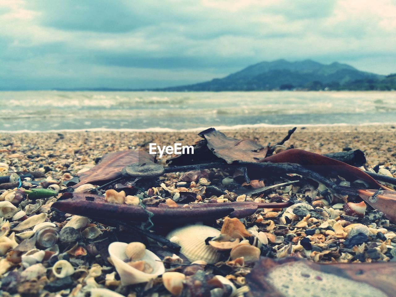 CLOSE-UP OF PEBBLES AT BEACH