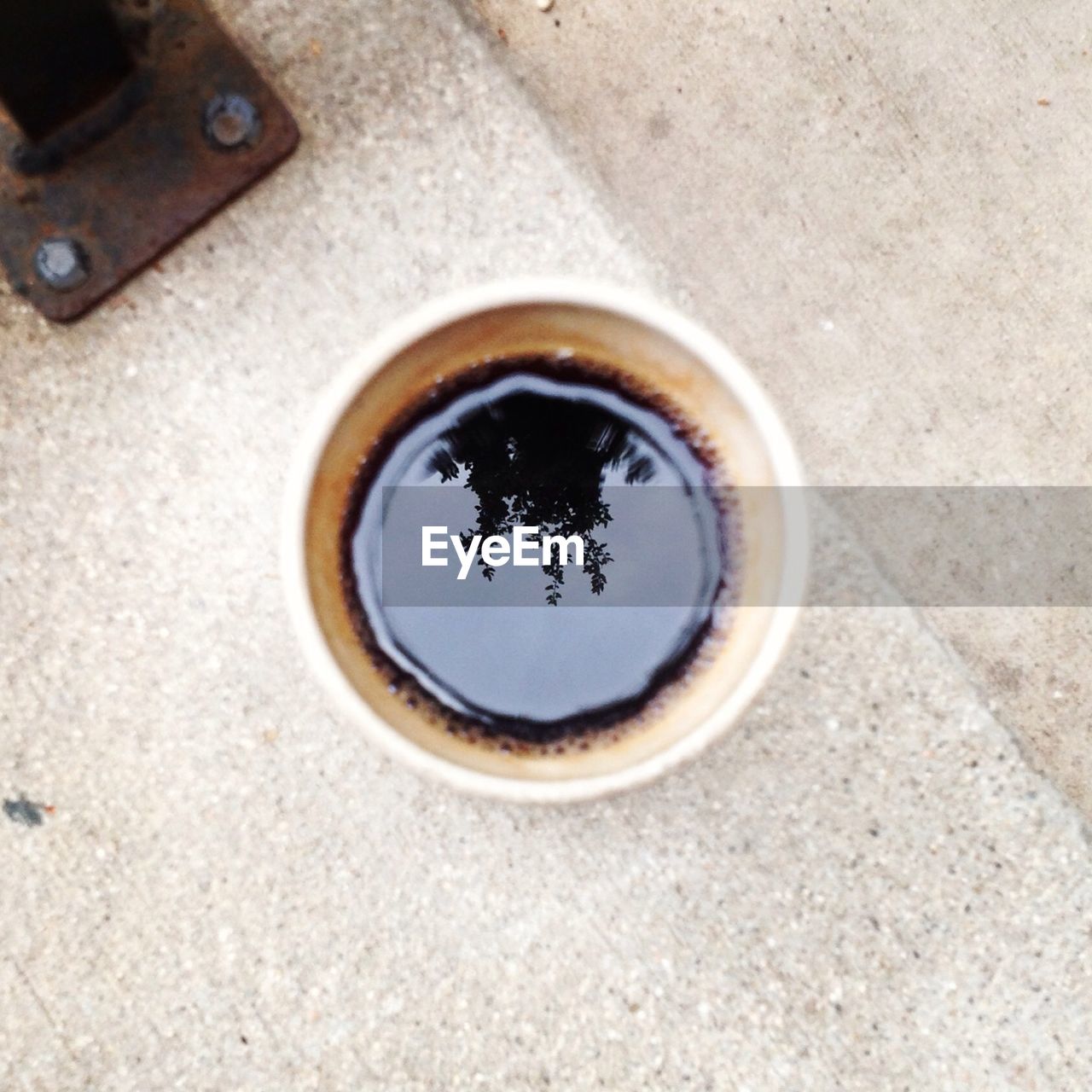 Reflection of tree in coffee