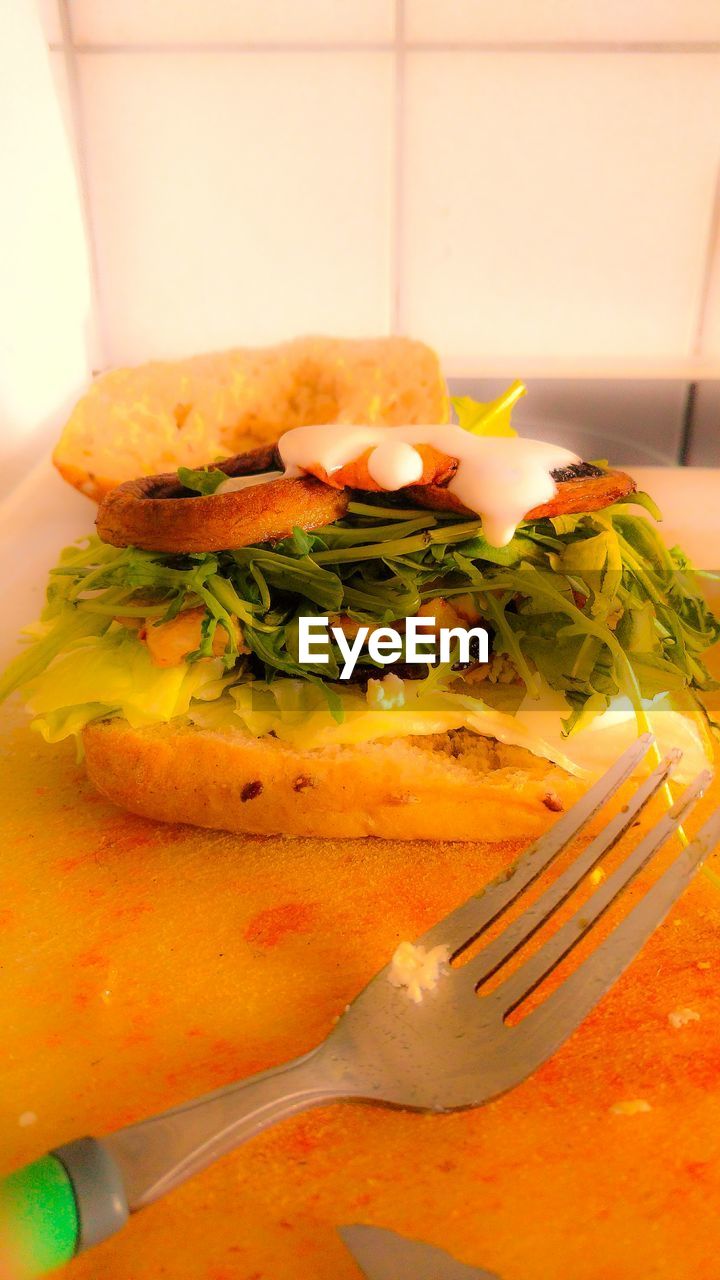 HIGH ANGLE VIEW OF BREAD ON PLATE