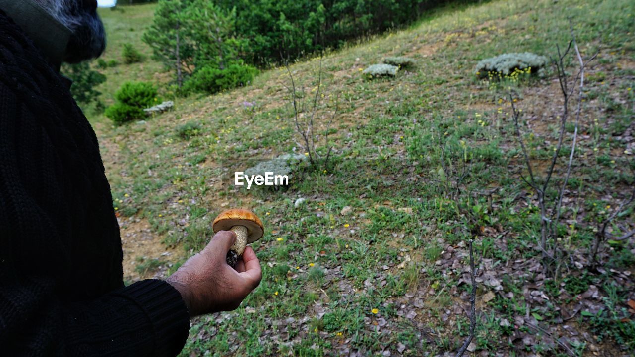 MAN HOLDING PLANT IN FOREST