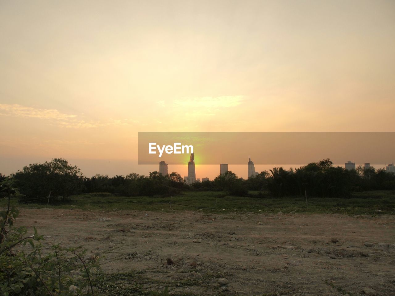 VIEW OF TREES ON FIELD AT SUNSET