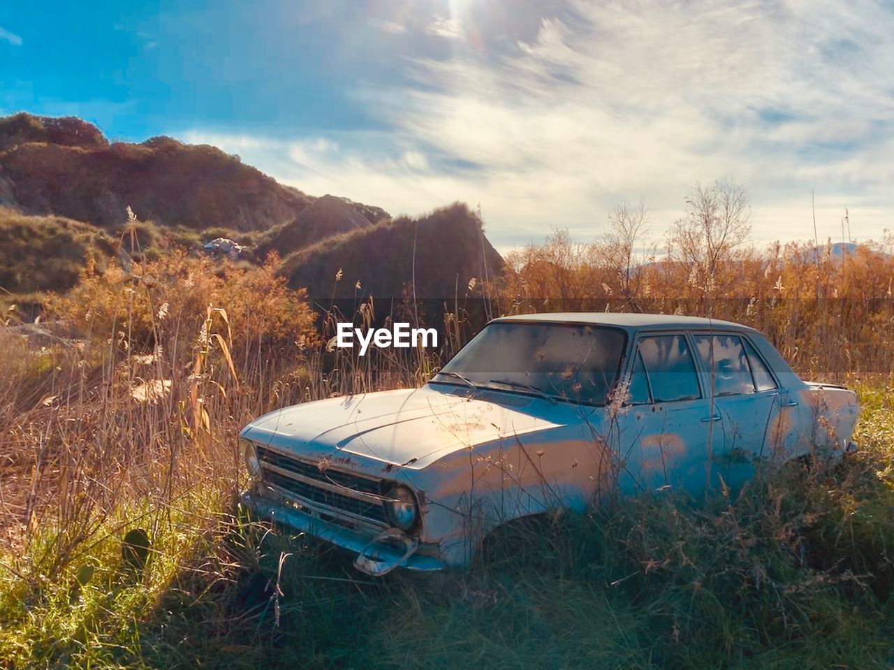 Abandoned car on by plants on land against sky