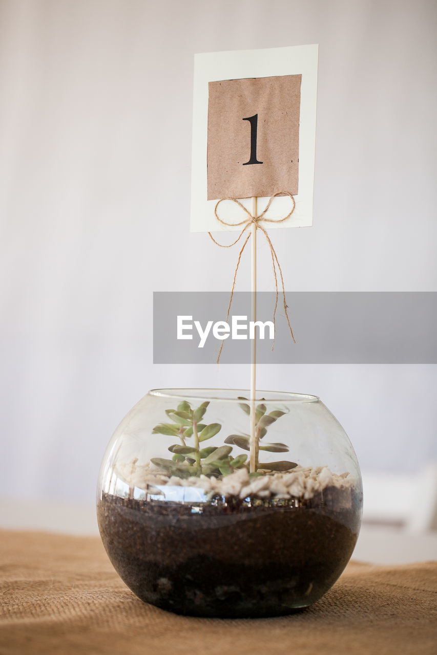 Close-up of houseplant with number 1 label on table