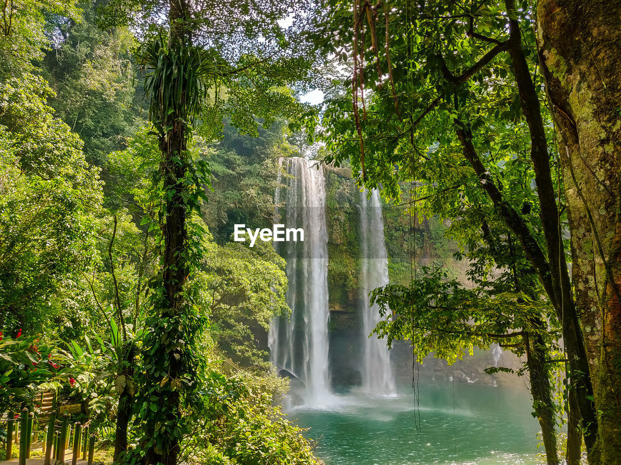 Mexican jungle waterfall