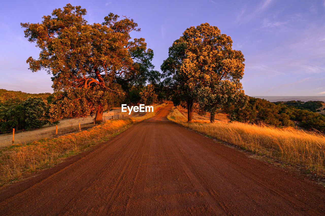 Road amidst trees against sky during autumn