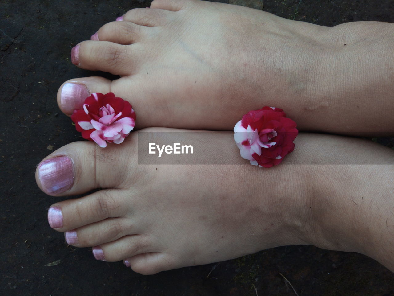 human leg, finger, hand, one person, limb, nail, adult, nail polish, human foot, toe, barefoot, red, arm, women, petal, close-up, flower, relaxation, lifestyles, human mouth, nail care, nature, high angle view, heart shape