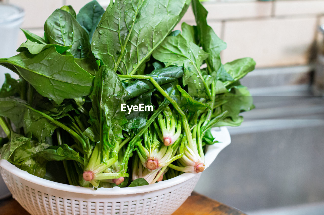 CLOSE-UP OF SALAD IN BOWL