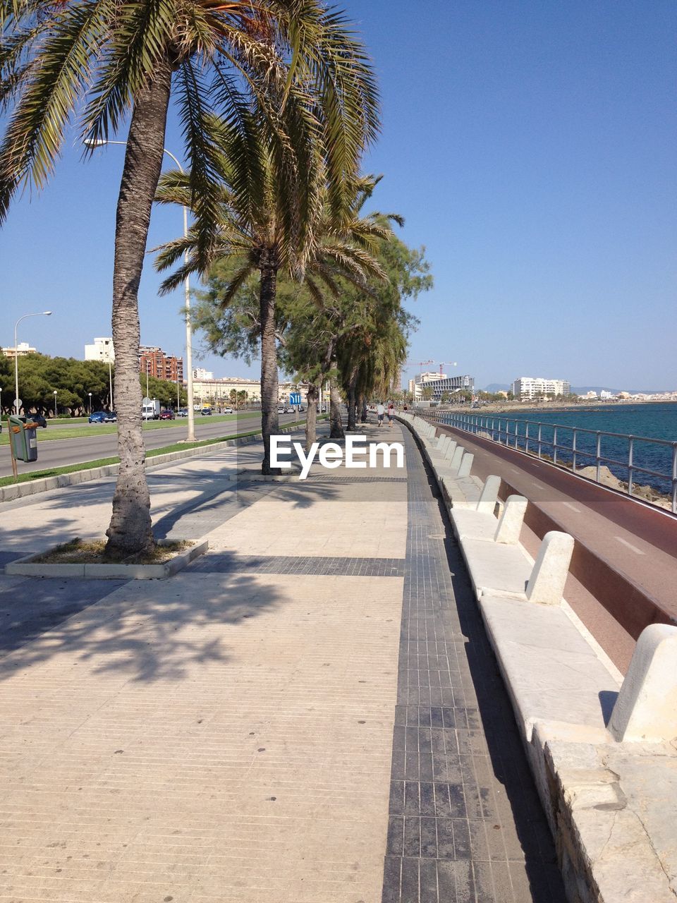 Palm trees at promenade against clear sky