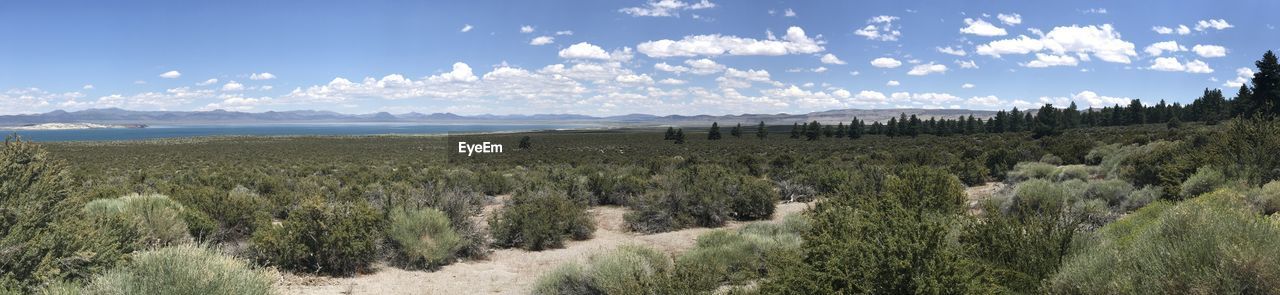 Panoramic view of land against sky