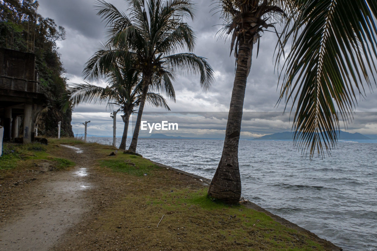 water, tropical climate, palm tree, sea, beach, tree, land, plant, sky, nature, beauty in nature, coast, scenics - nature, vacation, shore, coconut palm tree, cloud, tranquility, ocean, body of water, travel destinations, tropics, tranquil scene, tropical tree, environment, no people, holiday, sand, travel, architecture, outdoors, idyllic, trip, horizon over water, island, coastline, day, tourism, horizon, landscape, non-urban scene